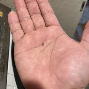 62F46E3B-8AE1-49A5-B576-8967145BDEC4